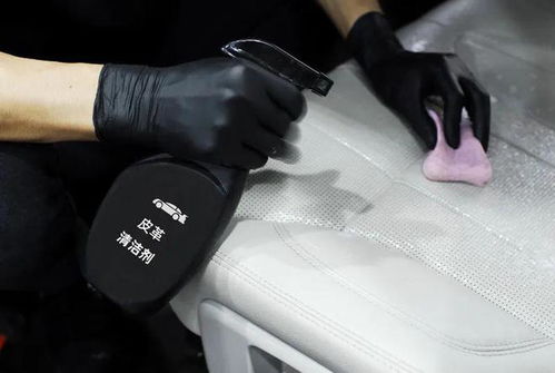 实验视频 来自实验室的超级皮革清洁剂 轻松解决皮革制品污渍